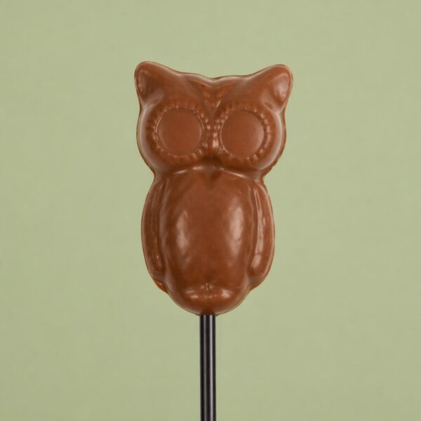 Owl Shaped Chocolate Lollipop