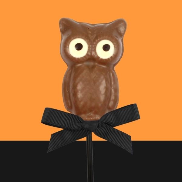Milk chocolate owl shaped lollipop with chocolate eyes
